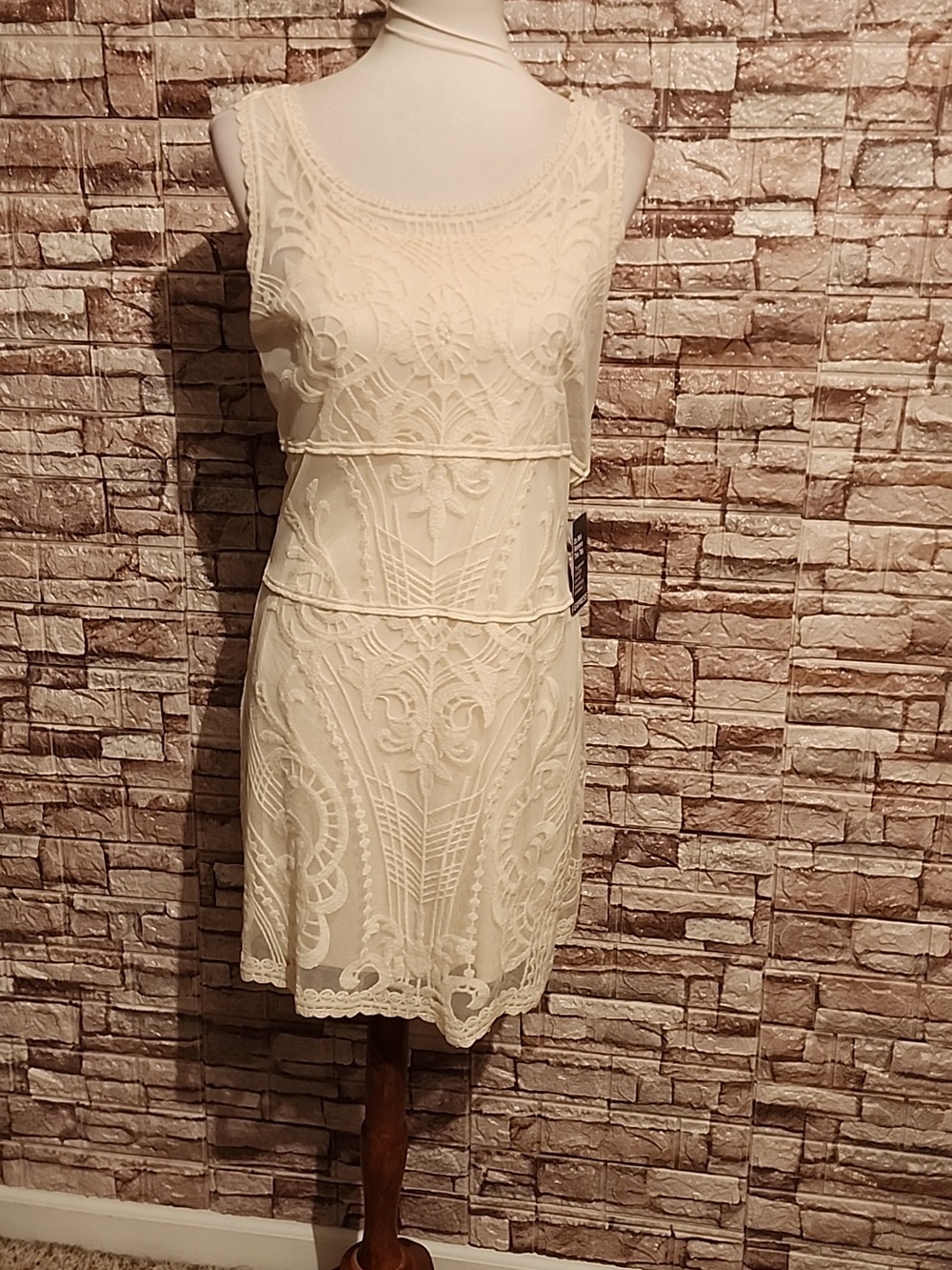 Express Elegant Cream Lace Dress Brand New